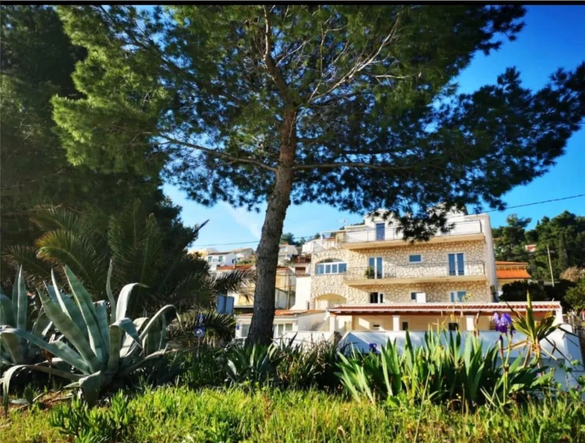 Apartments Penic contacts